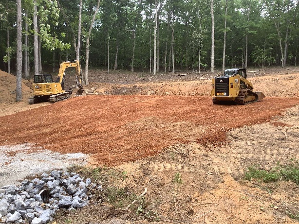 Sustainable Land Management: Effective Brush Clearing Techniques for Healthier Ecosystems